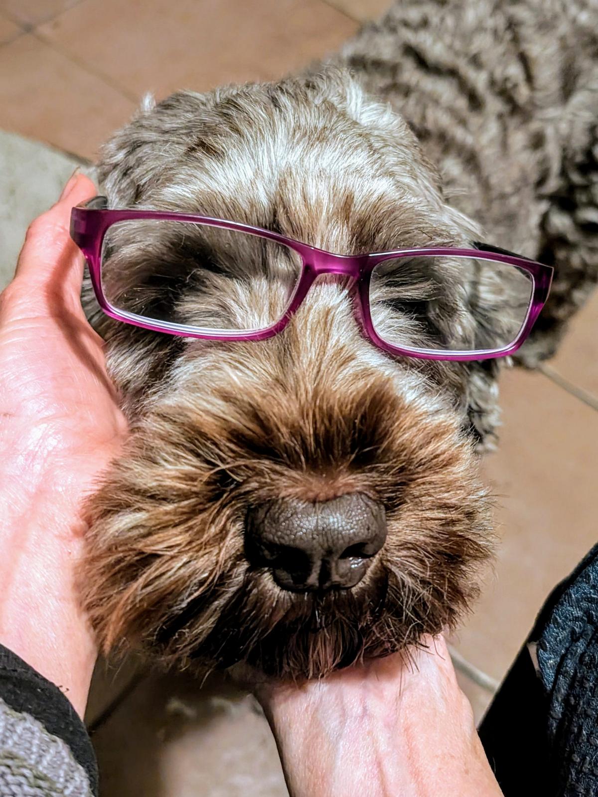 Professor Jette