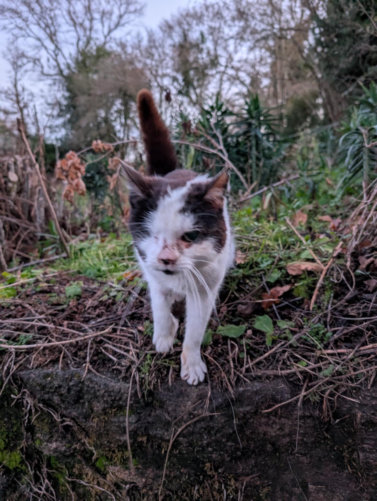 Sophie
